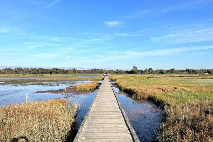 Foto von Ferienhaus HT47 in Sejerø Bugt - Westseeland