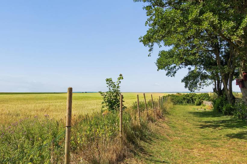 Foto von Ferienhaus HT62 in Ballum - Südjütland