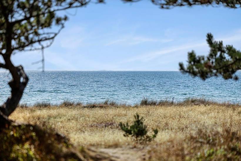 Foto von Ferienhaus HT89 in Bjerge - Westseeland
