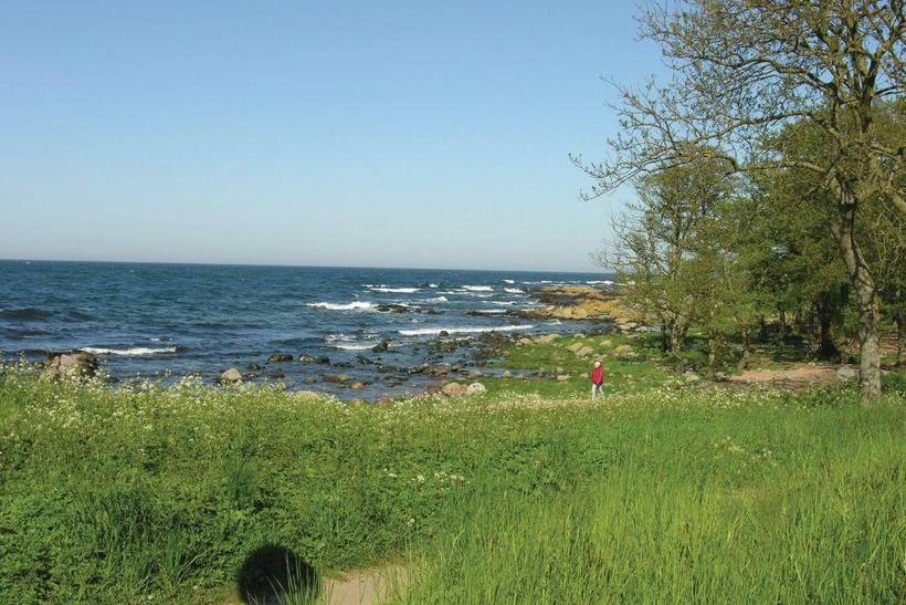 Foto von Ferienhaus HU95 in Svaneke - Bornholm
