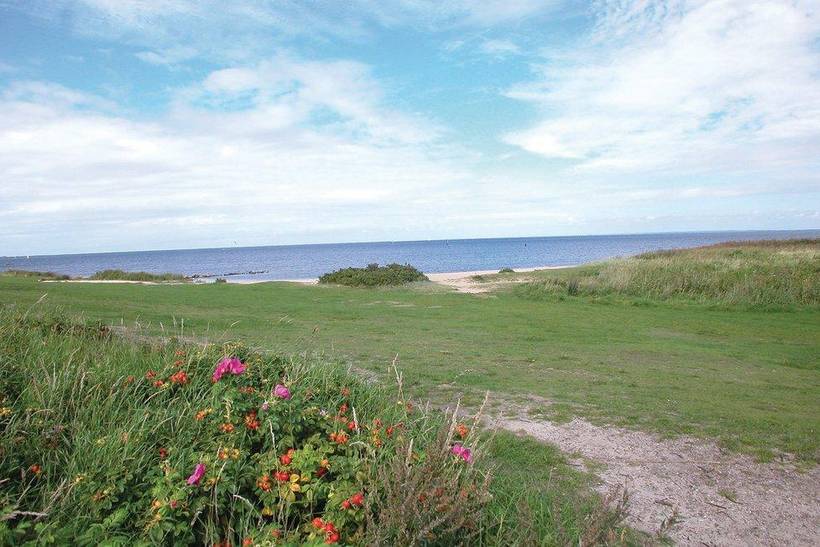 Foto von Ferienhaus HV36 in Bork Havn - Westjütland
