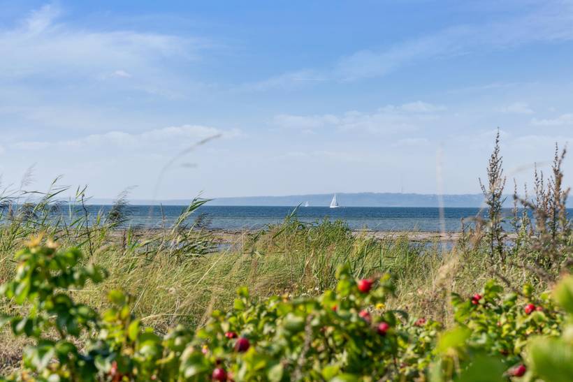 Foto von Ferienhaus HV89 in Skødshoved - Mols - Ostjütland