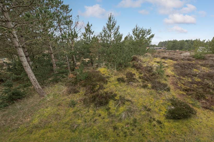 Foto von Ferienhaus HW71 in Kromose - Rømø