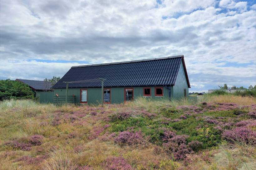 Foto von Ferienhaus HY08 in Bjerregård - Westjütland