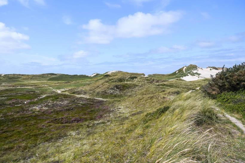 Foto von Ferienhaus HY47 in Søndervig - Westjütland