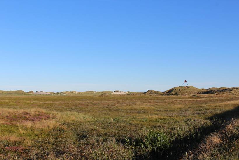 Foto von Ferienhaus HZ44 in Haurvig - Årgab - Westjütland