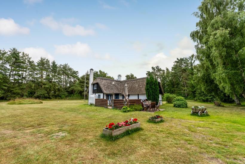 Foto von Ferienhaus IA11 in Østerby - Læsø