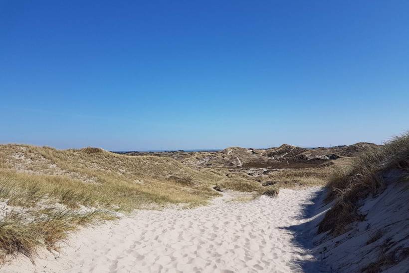 Foto von Ferienhaus IA55 in Bork Havn - Westjütland