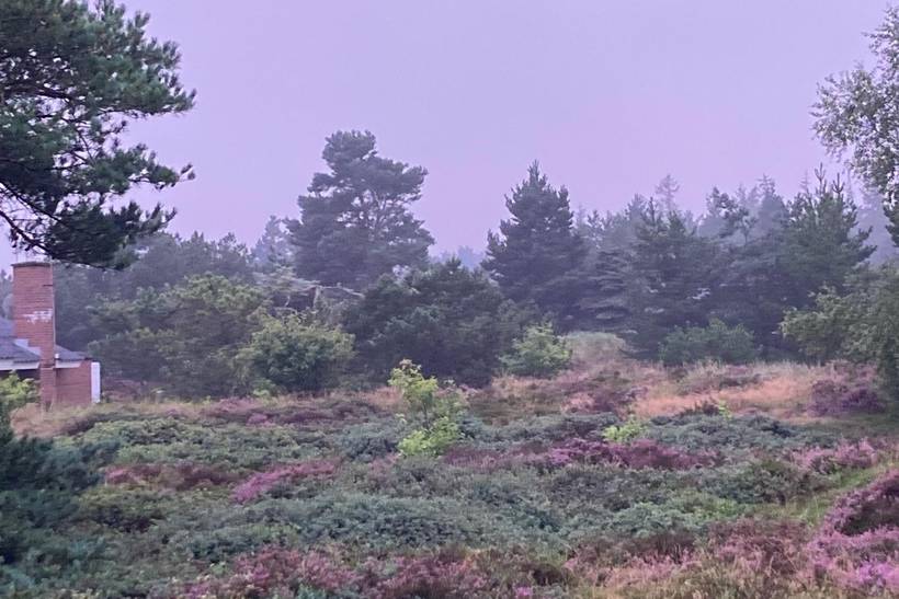 Foto von Ferienhaus IB28 in Kromose - Rømø
