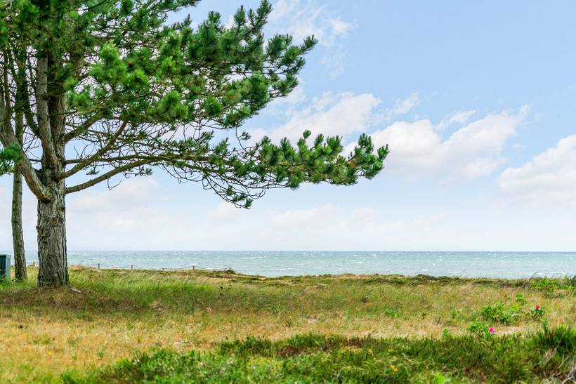 Foto von Ferienhaus IB49 in Vesterø - Læsø