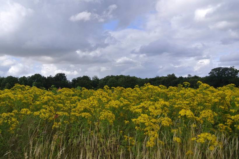 Foto von Ferienhaus IB60 in Hejlsminde - Südjütland