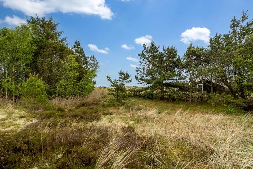 Foto von Ferienhaus ID13 in Ålbæk - Nordjütland Ost