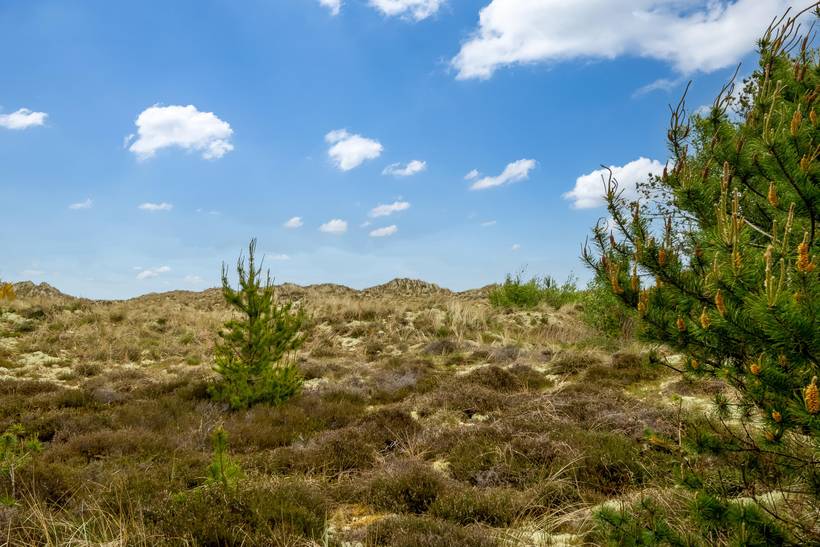 Foto von Ferienhaus ID13 in Ålbæk - Nordjütland Ost