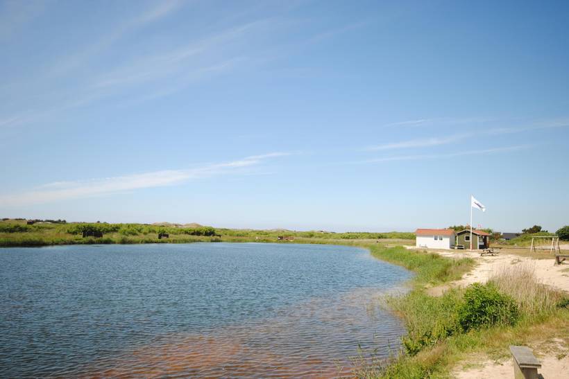 Foto von Ferienhaus ID28 in Lodbjerg Hede - Søndervig - Westjütland
