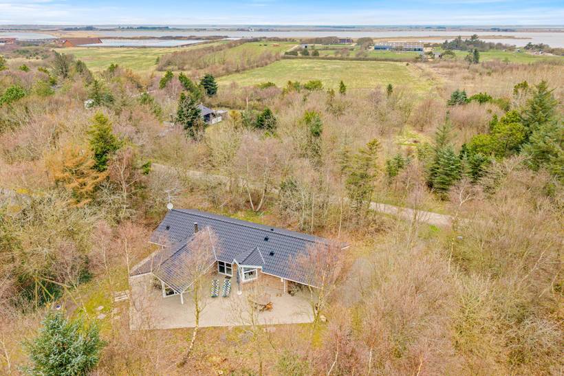 Foto von Ferienhaus ID85 in Lodbjerg Hede - Søndervig - Westjütland