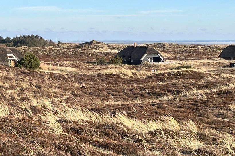 Foto von Ferienhaus ID97 in Bjerregård - Westjütland