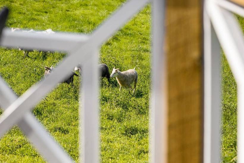 Foto von Ferienhaus IE29 in Ajstrup - Odder - Ostjütland