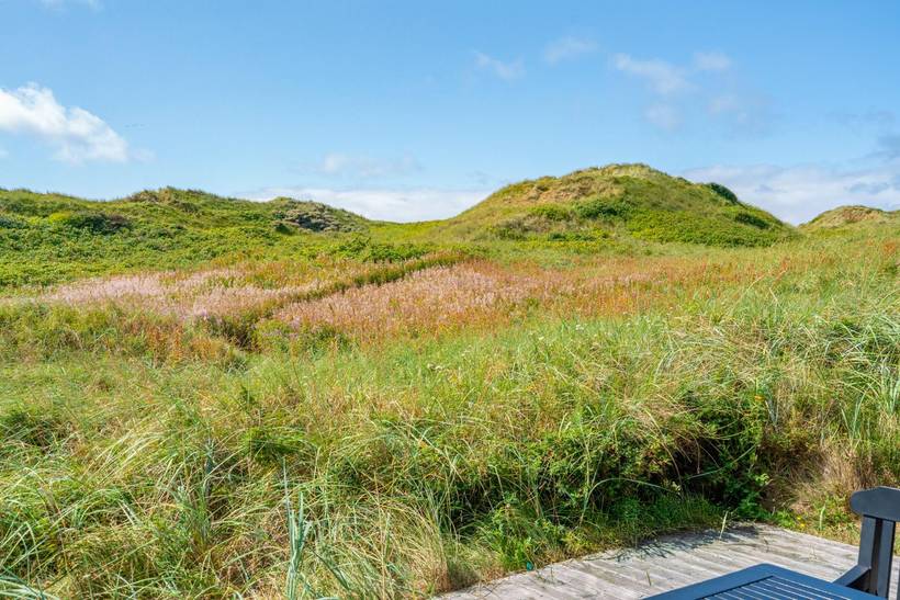 Foto von Ferienhaus IF01 in Henne Strand - Westjütland