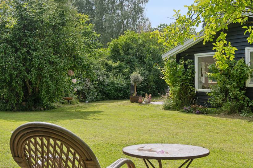 Foto von Ferienhaus IF05 in Rågeleje - Nordseeland