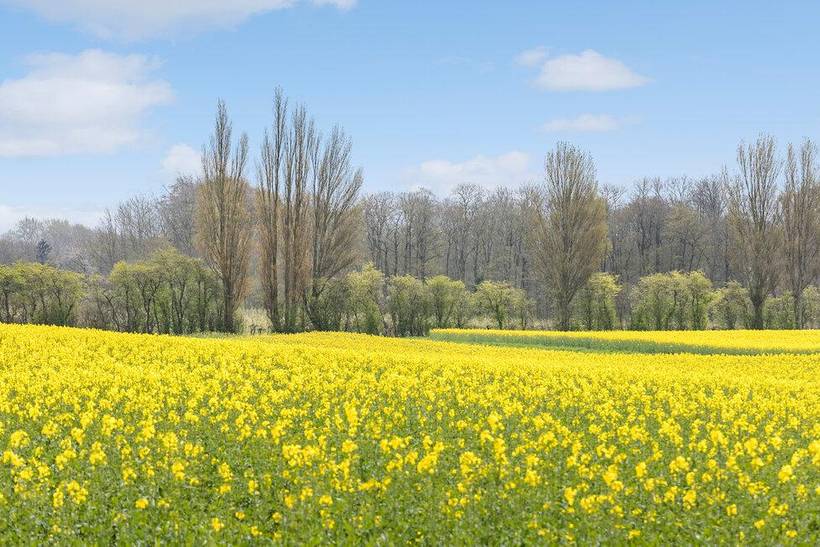 Foto von Ferienhaus IF21 auf Elsehoved - Südfünen