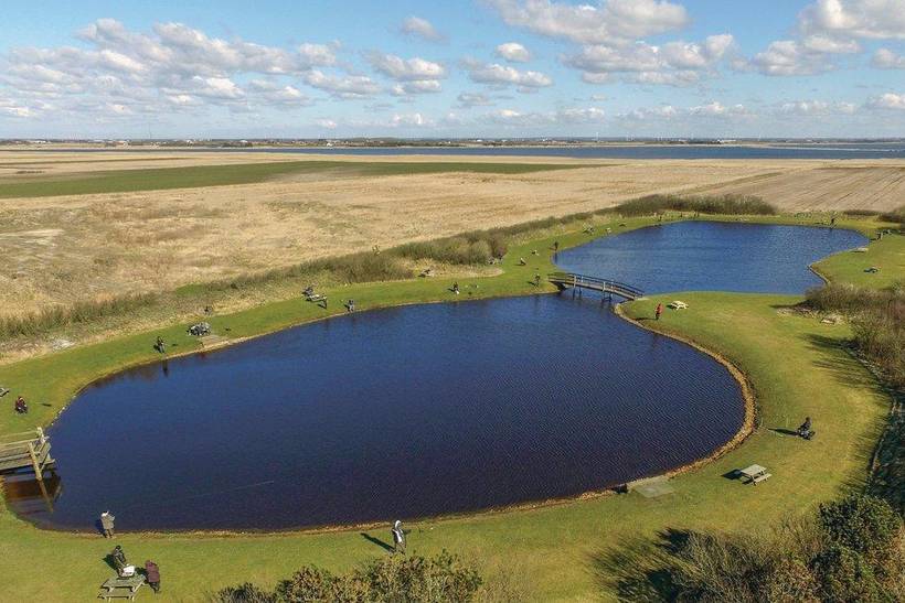 Foto von Ferienhaus IF23 in Søndervig - Westjütland