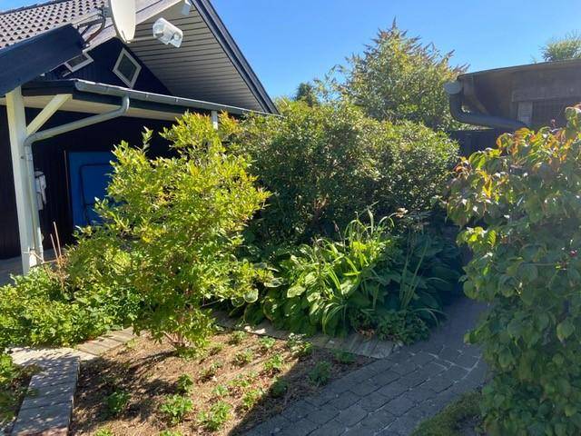 Foto von Ferienhaus IF24 in Rågeleje - Nordseeland