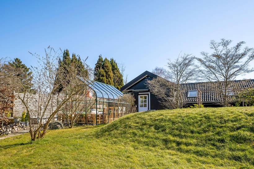 Foto von Ferienhaus IF24 in Rågeleje - Nordseeland