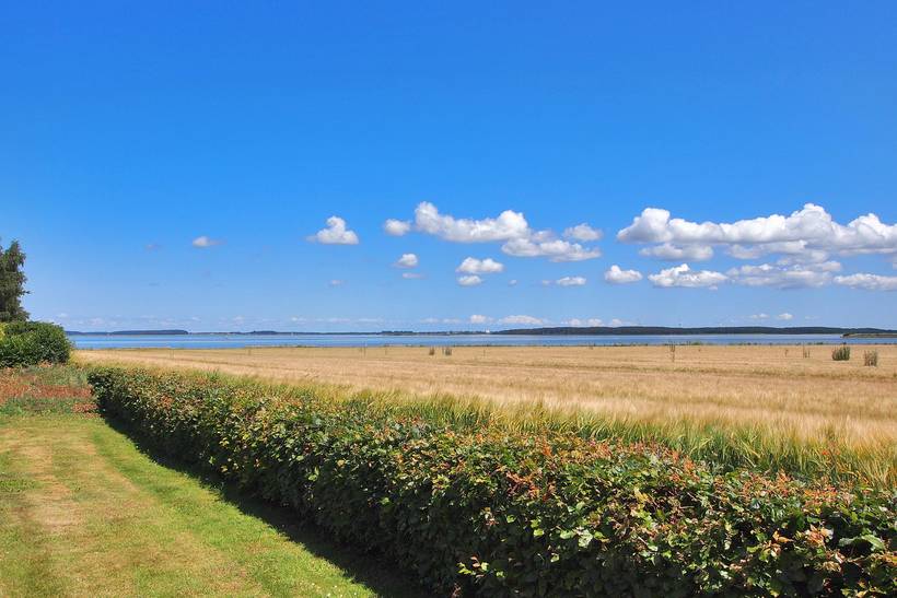 Foto von Ferienhaus IF40 auf Langø - Lolland