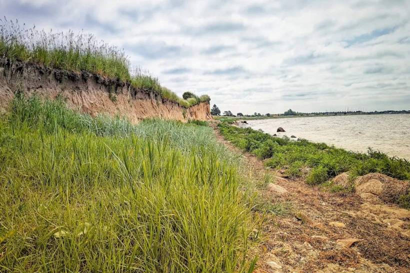 Foto von Ferienhaus IF72 auf Karrebæksminde - Enø - Südseeland