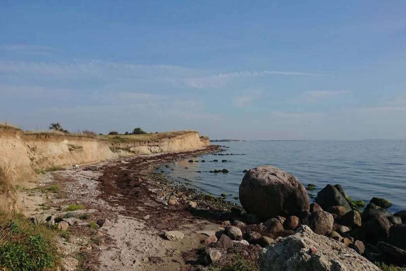 Foto von Ferienhaus IF72 auf Karrebæksminde - Enø - Südseeland