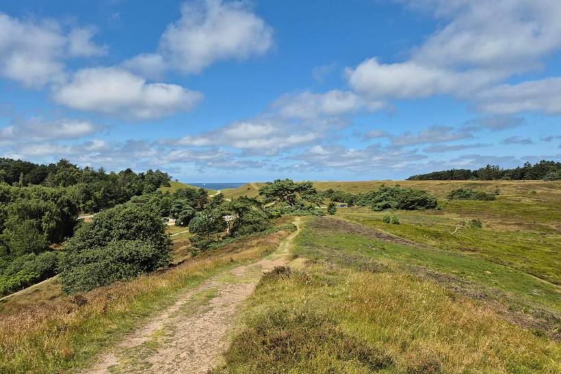 Foto von Ferienhaus IF94 in Vejby - Tisvildeleje - Nordseeland