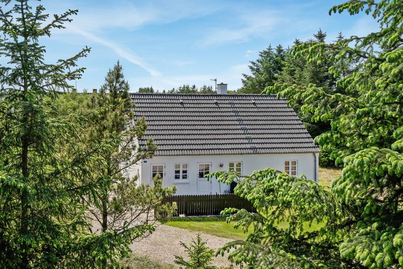 Foto von Ferienhaus IF95 in Vorupør - Thy/Limfjord