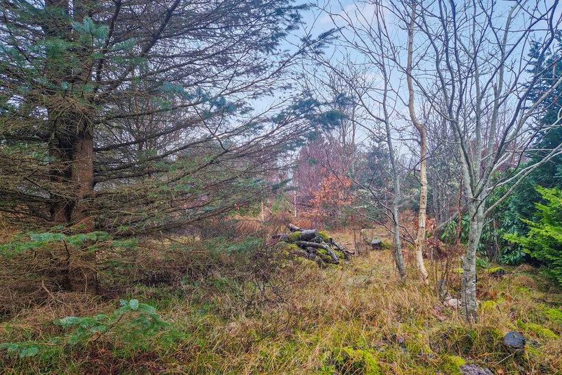 Foto von Ferienhaus IG32 in Ålbæk - Nordjütland Ost