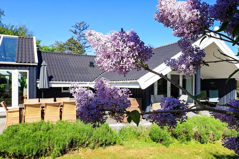 Foto von Ferienhaus IG61 in Marielyst - Falster