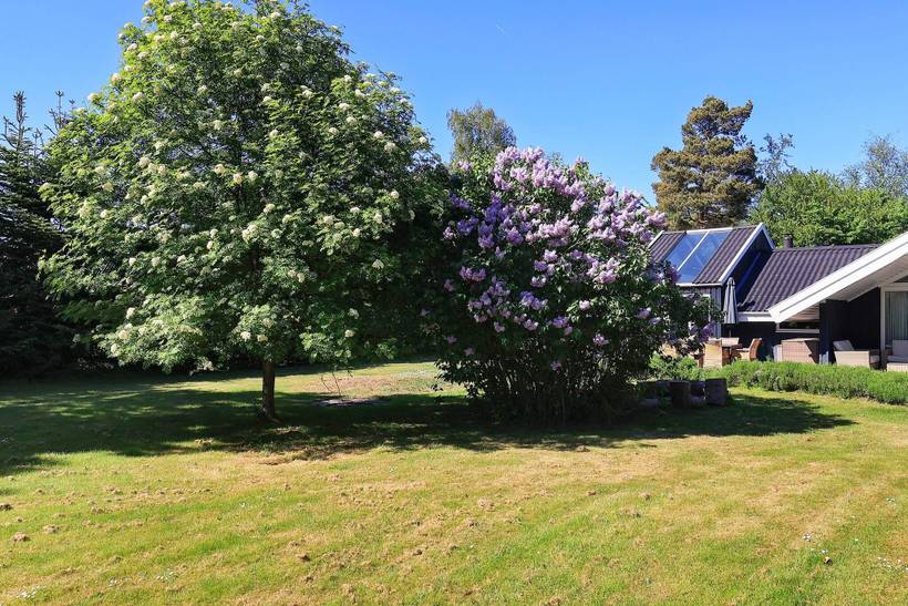Foto von Ferienhaus IG61 in Marielyst - Falster