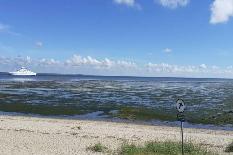 Foto von Ferienhaus IG63 in Havneby - Rømø