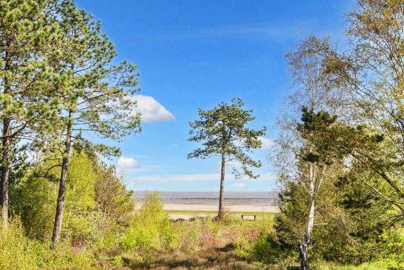 Foto von Ferienhaus IG63 in Havneby - Rømø