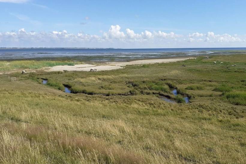 Foto von Ferienhaus IG63 in Havneby - Rømø
