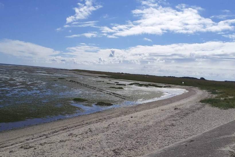 Foto von Ferienhaus IG63 in Havneby - Rømø