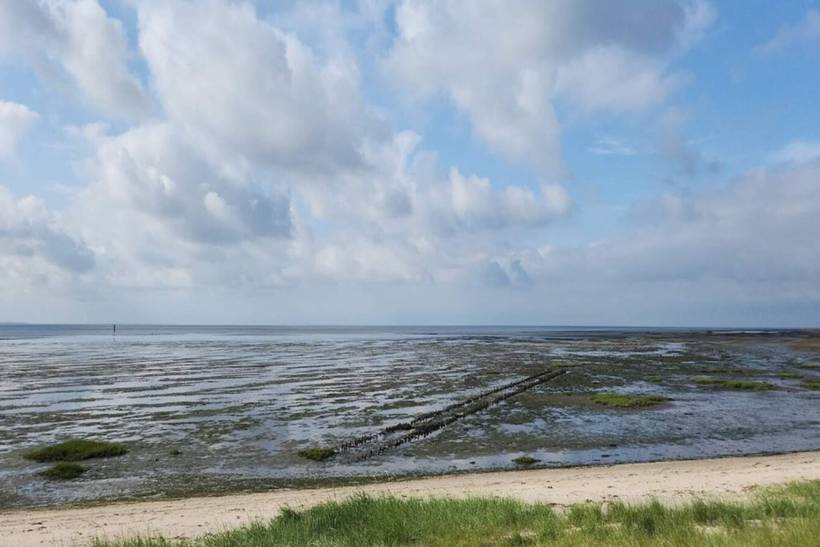 Foto von Ferienhaus IG63 in Havneby - Rømø