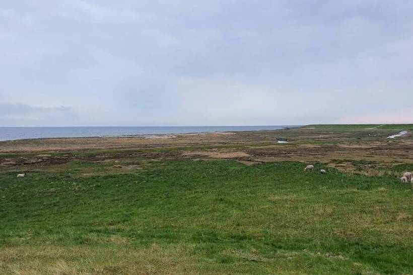 Foto von Ferienhaus IG63 in Havneby - Rømø