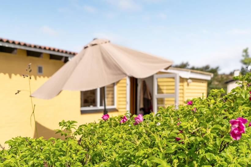 Foto von Ferienhaus IG85 in Klitmøller - Thy/Limfjord