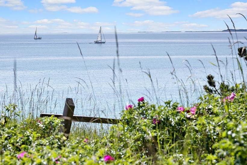 Foto von Ferienhaus IG92 in Mols - Ostjütland