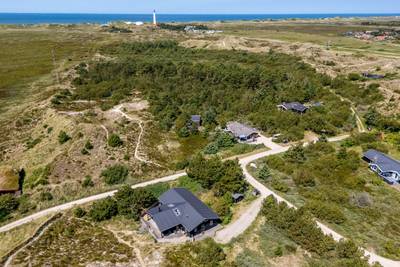 Vorschaubild von Ferienhaus IH67 in Nr. Lyngvig - Hvide Sande - Westjütland