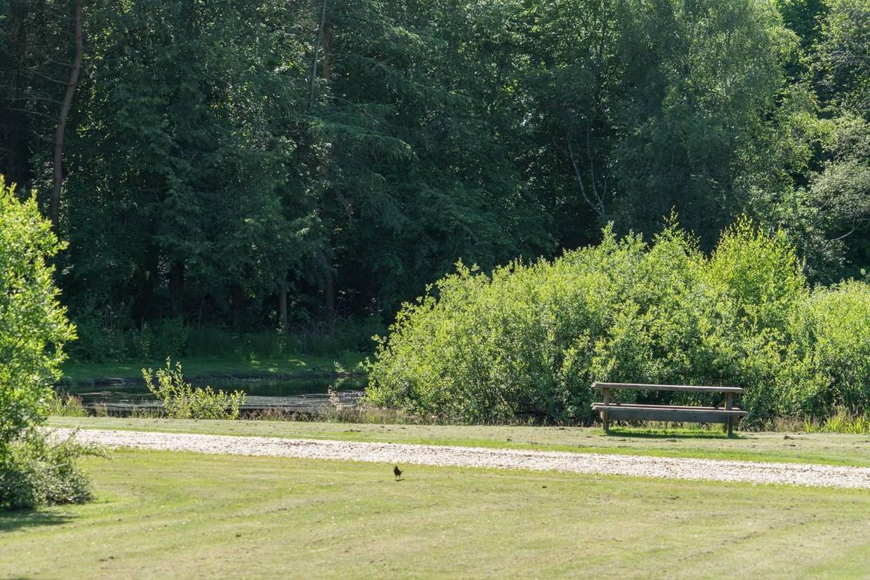 Foto von Ferienhaus II35 in Jegum - Westjütland