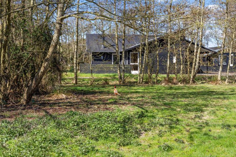 Foto von Ferienhaus II51 in Fanø Bad - Fanø