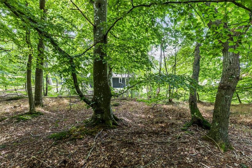 Foto von Ferienhaus II67 in Fjellerup - Ostjütland