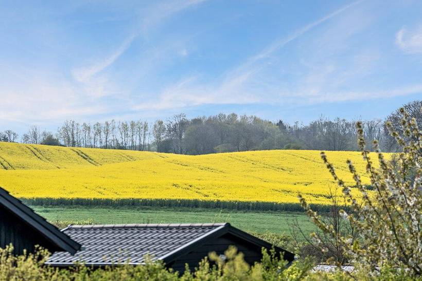 Foto von Ferienhaus IJ19 in Tårup - Südfünen