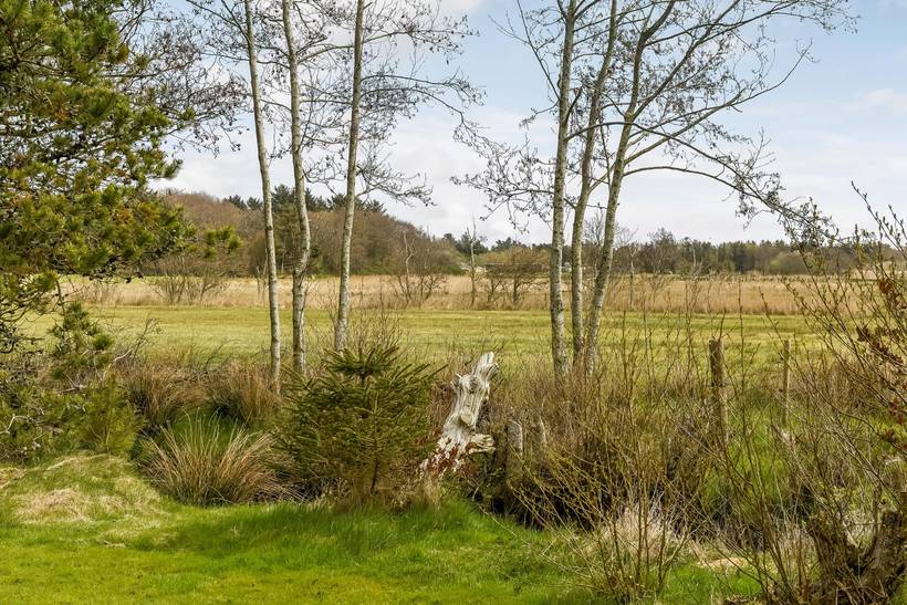 Foto von Ferienhaus IJ30 in Blåvand - Westjütland