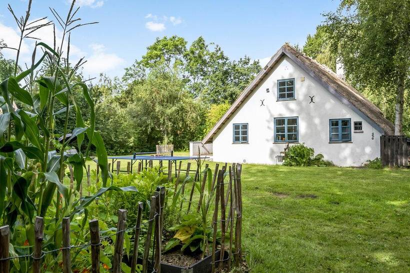 Foto von Ferienhaus IJ48 in Sjællands Odde - Westseeland